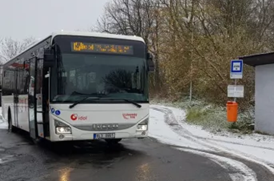 bus