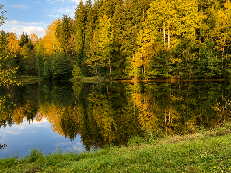 rádelský rybník